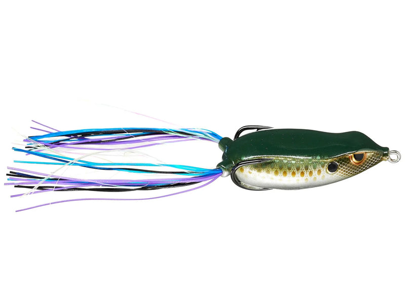 Gambler Walking Frog