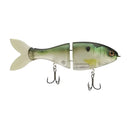 Bucca Trick Shad Glide Bait 6"