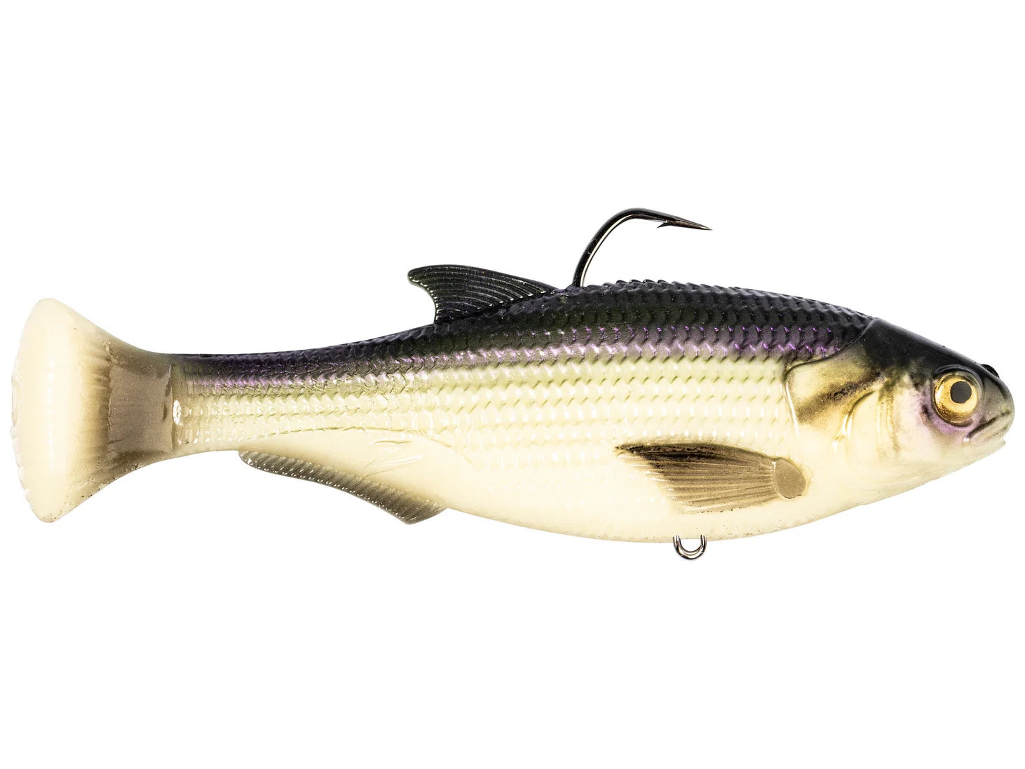 Explore the Innovation Behind the Z-Man Shadtron LT Swimbait