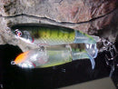 River2Sea Whopper Plopper 90 - Fishing Supercenter