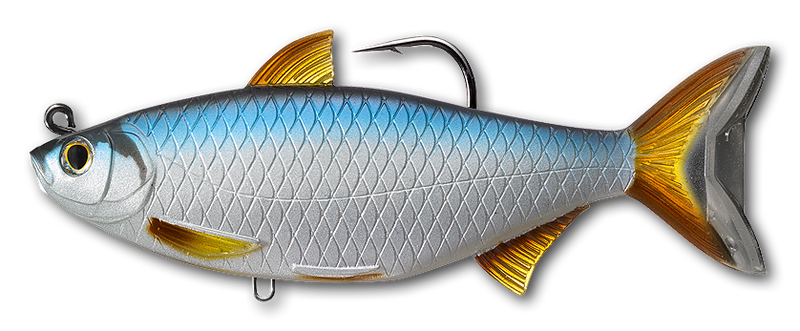 Live Target Golden Shiner Swimbait - Fishing Supercenter
