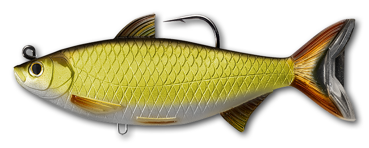 Live Target Golden Shiner Swimbait - Fishing Supercenter