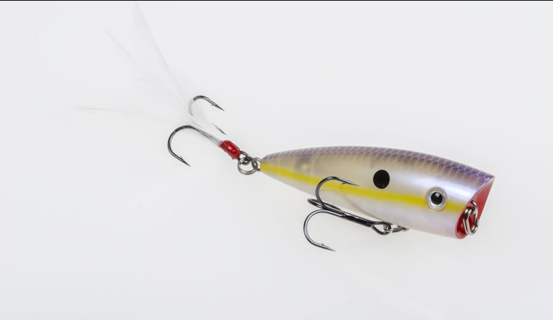 Strike King KVD Splash - Fishing Supercenter