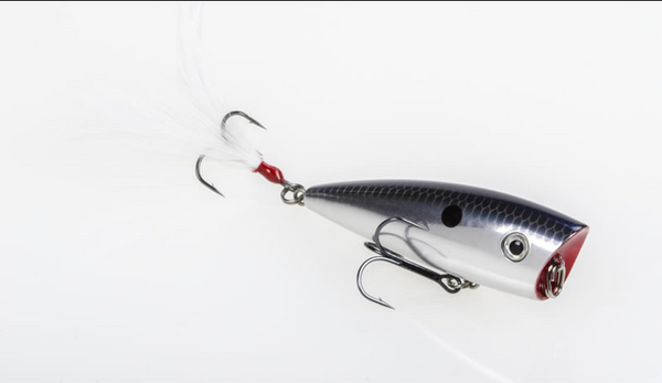 Strike King KVD Splash - Fishing Supercenter