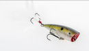 Strike King KVD Splash - Fishing Supercenter