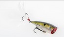 Strike King KVD Splash Jr - Fishing Supercenter
