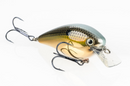 Strike King KVD 2.5 - Fishing Supercenter