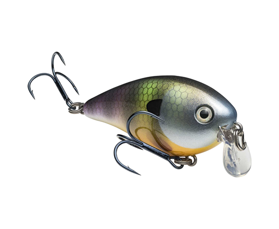 Strike King KVD 1.5 Shallow Runners