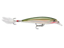 Rapala X-Rap XR-10