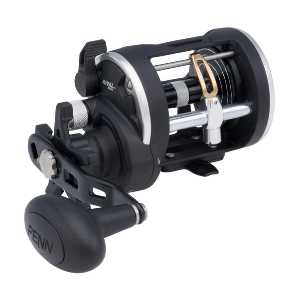 Penn Rival Level Wind Reel