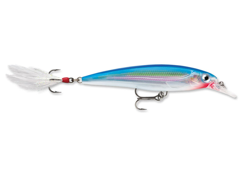 Rapala X-Rap XR-10