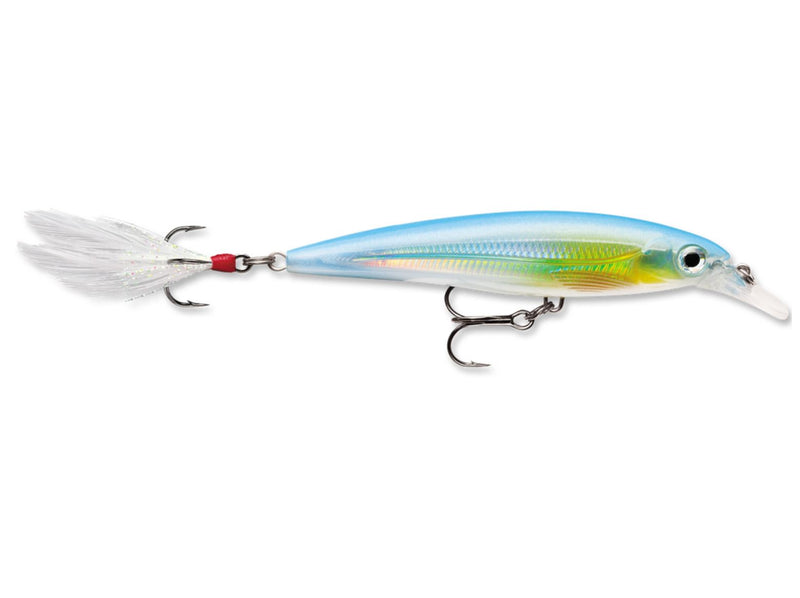 Rapala X-Rap XR-10
