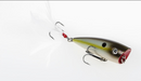 Strike King KVD Splash - Fishing Supercenter