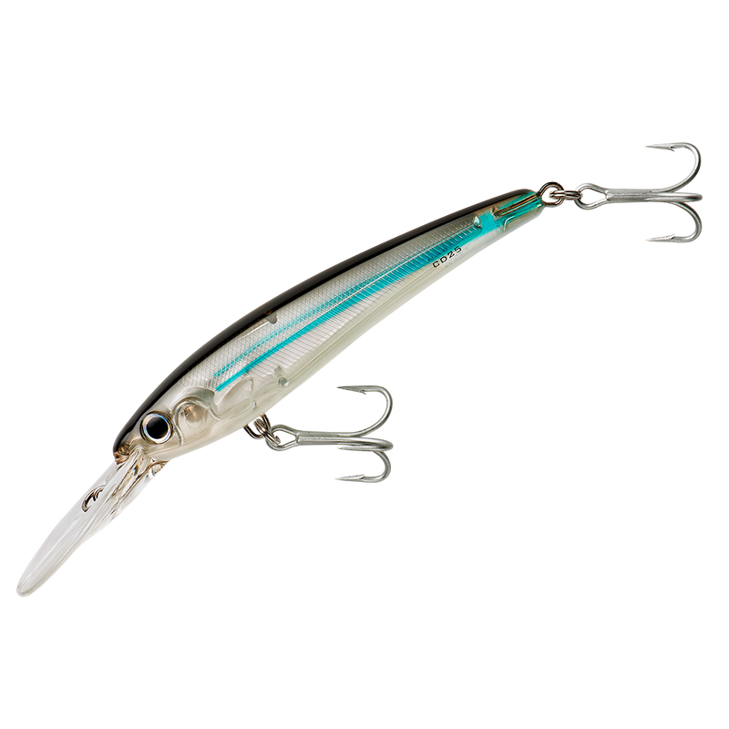 BOMBER SALT WATER Certified Depth 25 - Fishing Supercenter