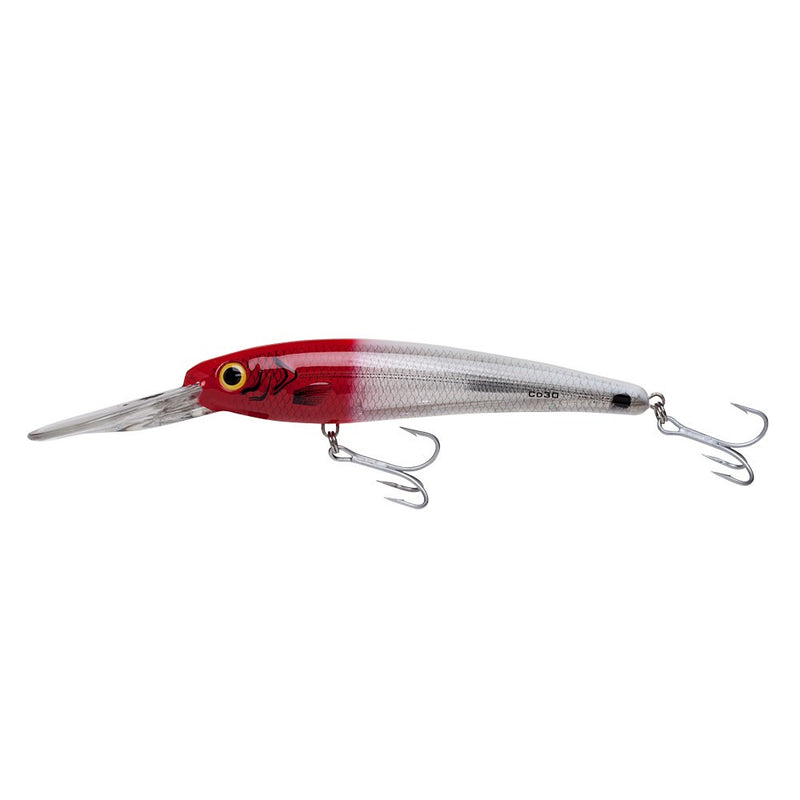 BOMBER SALT WATER Certified Depth 25 - Fishing Supercenter