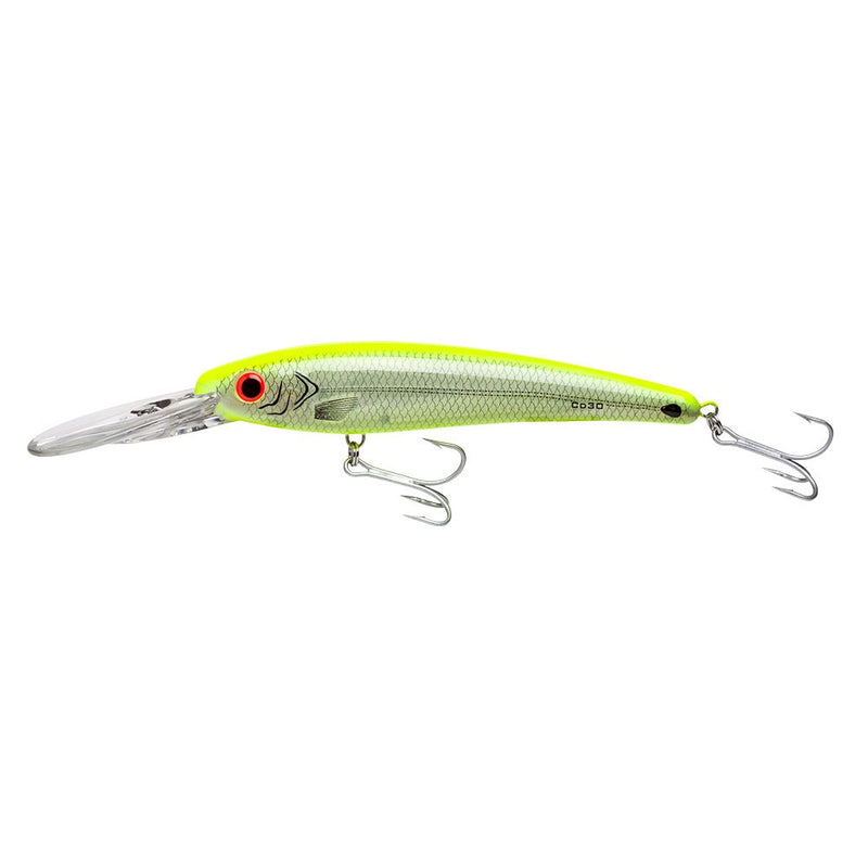 BOMBER SALT WATER Certified Depth 25 - Fishing Supercenter