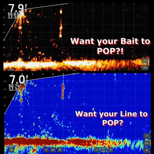 Bait Pop Live Sonar Intensifier