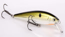 Strike King KVD J200 Jerkbait - Fishing Supercenter