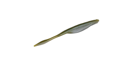 Strike King KVD Caffeine Shad 5"