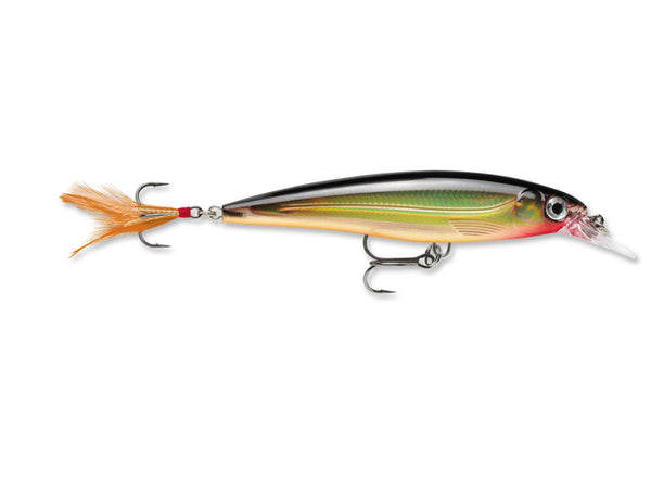 Rapala X-Rap XR-6