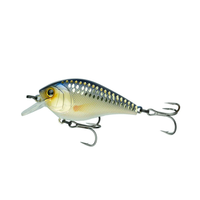 Van's Bait 富嶽 Amazon.co.jp: バンズベイト Van's bait 富嶽 ジャパン ビッグ