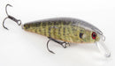 Strike King KVD J200 Jerkbait - Fishing Supercenter