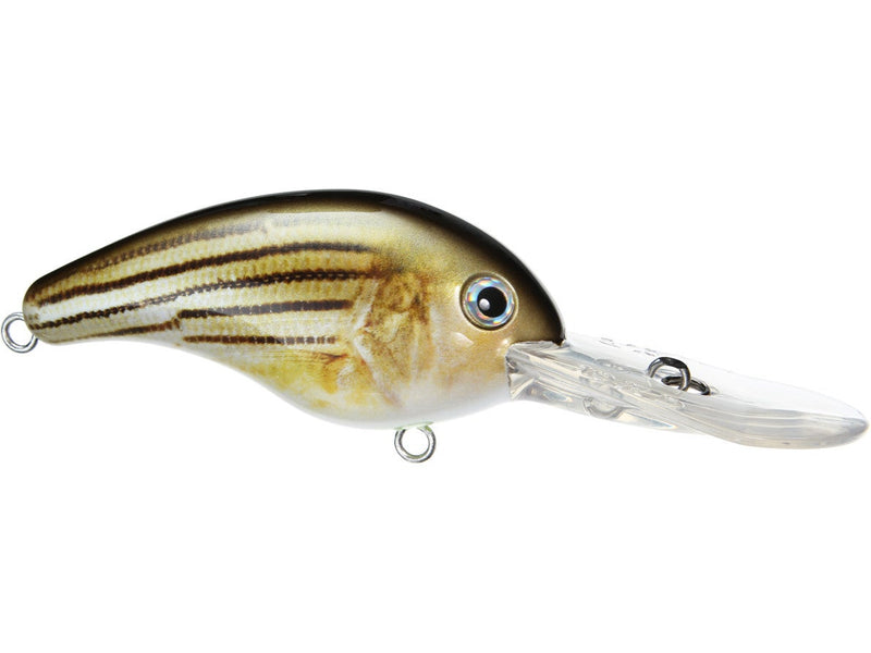 Strike King Pro Model 10XD Crankbait - TN Shad 2.0