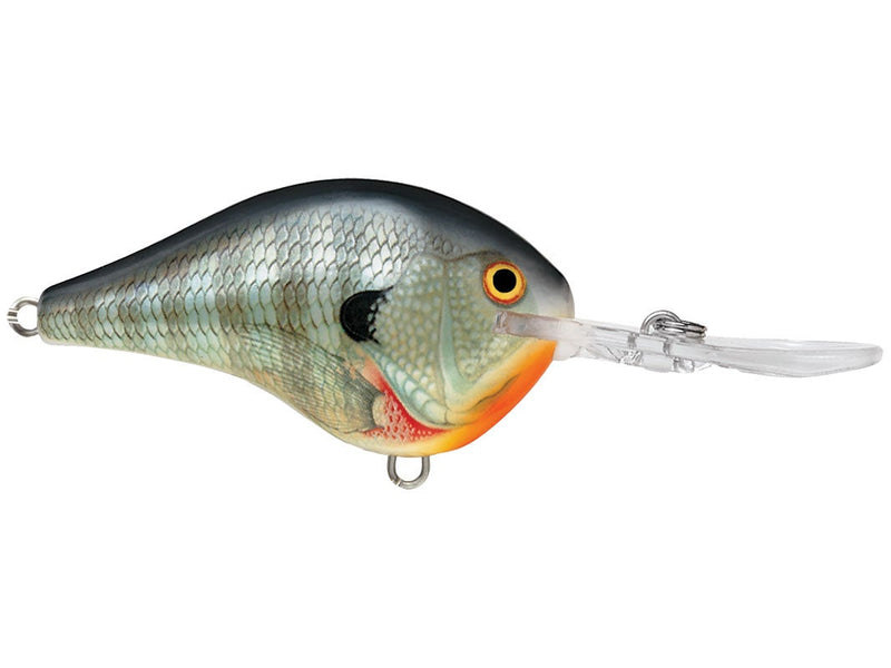 Rapala DT-6