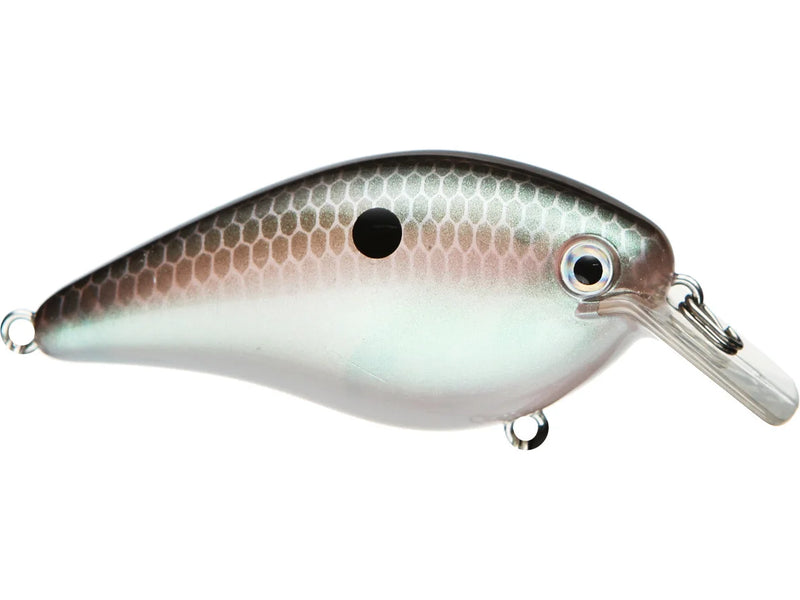 Strike King KVD 2.5