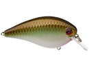Strike King KVD 1.5 Square Bill Crankbait