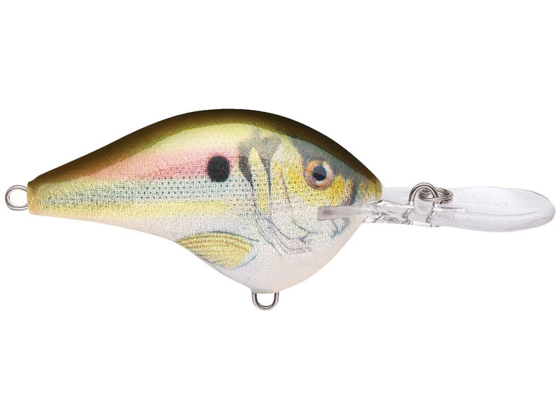 Rapala DT-6