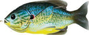 Live Target Sunfish Hollow Body - Fishing Supercenter