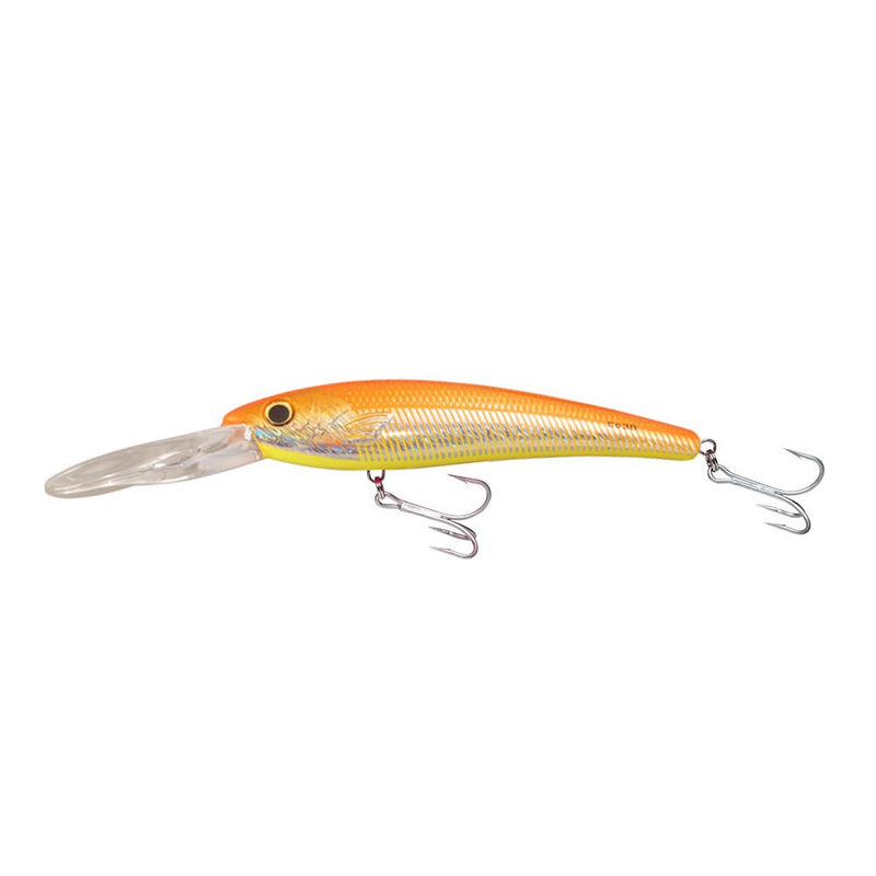 BOMBER SALT WATER Certified Depth 25 - Fishing Supercenter