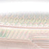 Rapala X-Rap Saltwater 10