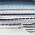 Rapala X-Rap Saltwater 10