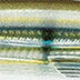 Rapala X-Rap Saltwater 10