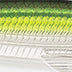Rapala X-Rap Saltwater 10