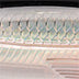 Rapala X-Rap Saltwater 10